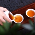 陇象-蒲公英玉米须茶