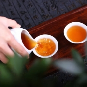 陇象-蒲公英玉米须茶