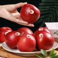 嘎啦苹果5KG