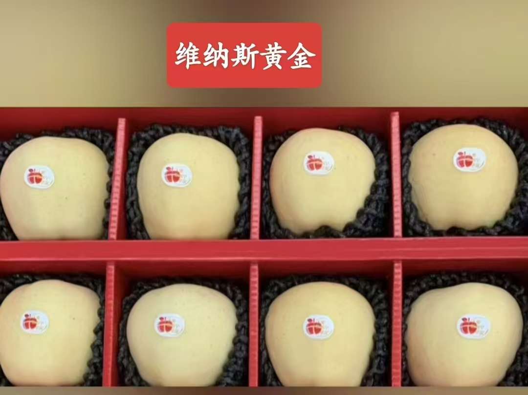 维纳斯黄金8枚礼盒.jpg